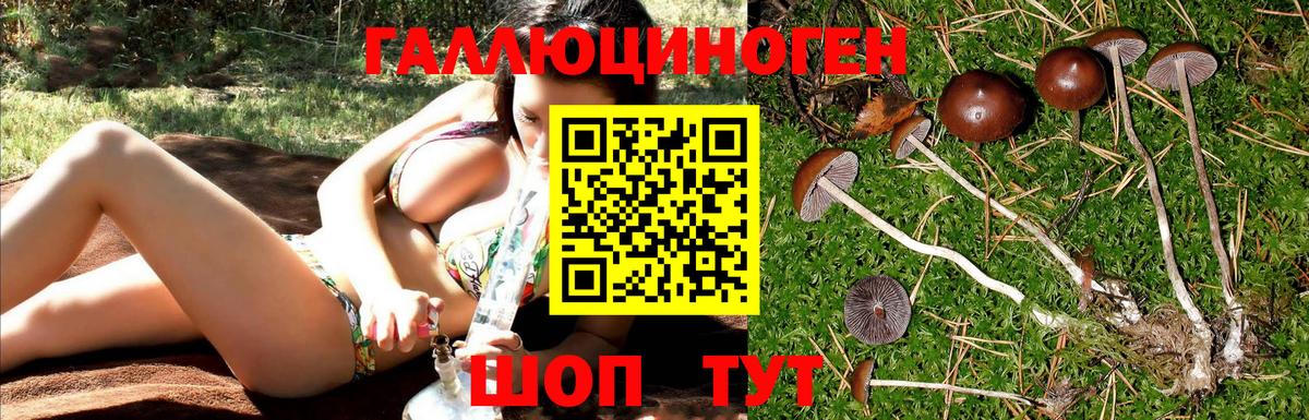 Псилоцибиновые грибы ЛСД Глазов