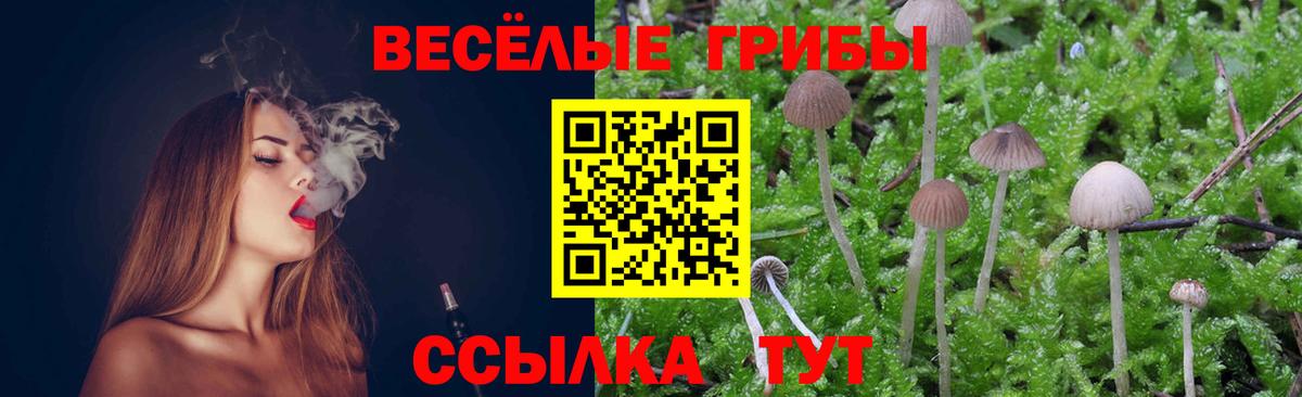 Псилоцибиновые грибы мухоморы  Вход с VPN  наркота  Псилоцибиновые грибы Cubensis  Глазов 